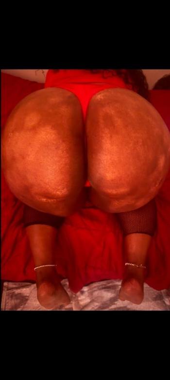 516-929-1712, 26  female escort, Albany