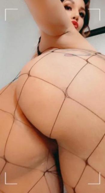 3323337341, female escort, Albany